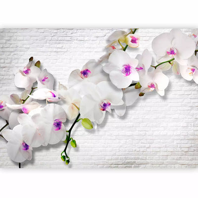 Wall Murals 61847 wall with orchids II