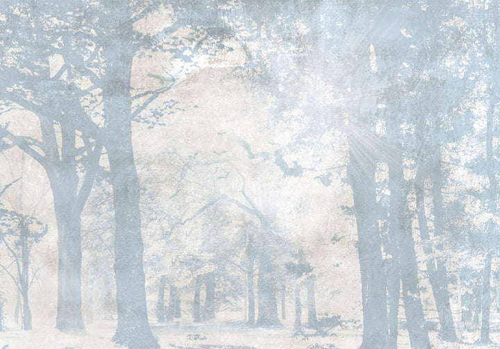 Fototapetes - Parks miglā (zilos toņos), 148783