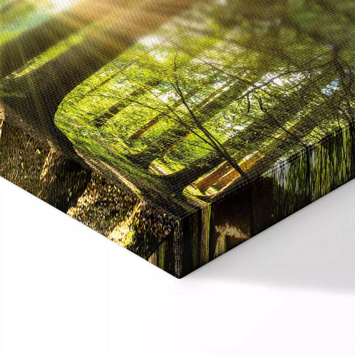 Kanva - Dienas gaisma, (x 1), 64594