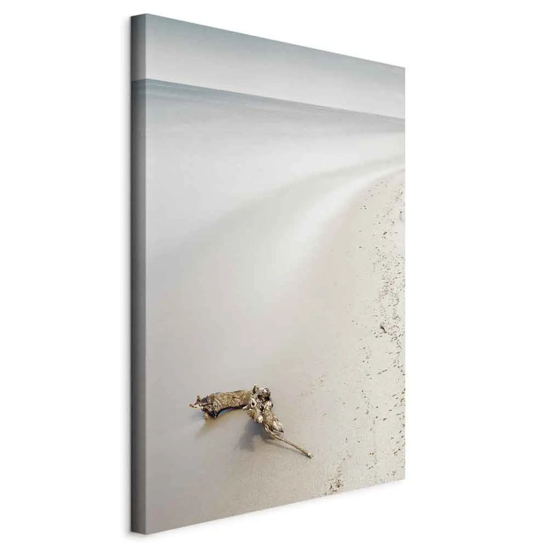 Canvas-taulut Rannikko (x 1)