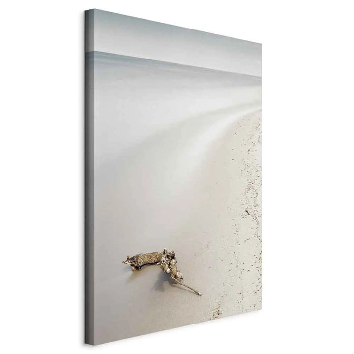Canvas-taulut Rannikko (x 1)