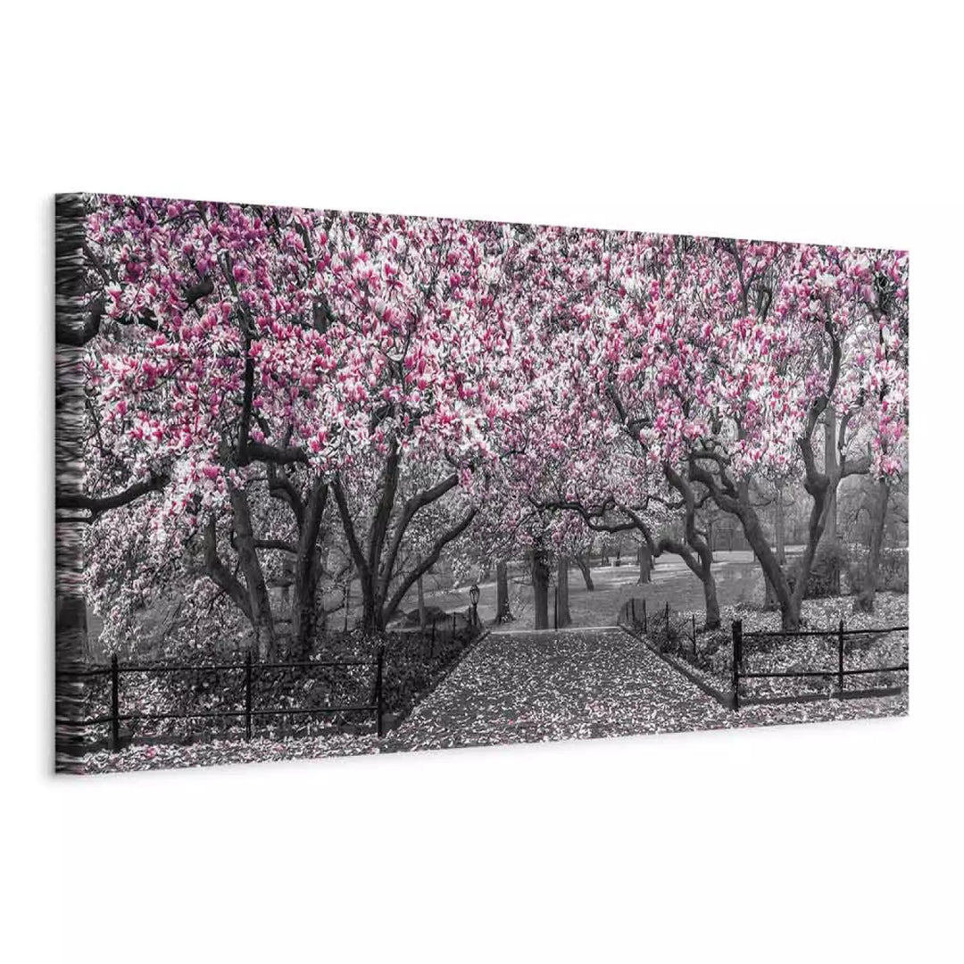Kanva - Magnoliju parks, (x 1), rozā, 128795