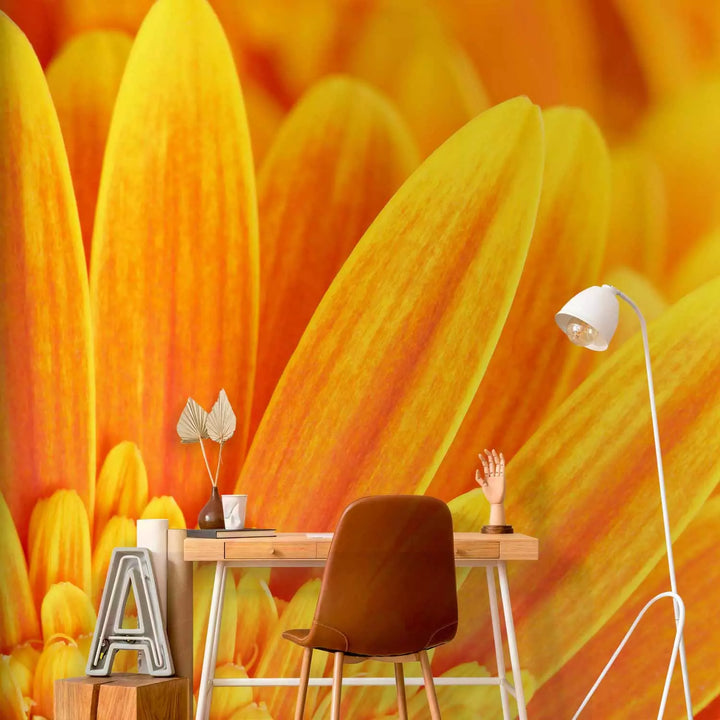 Fototapetai - Geltonoji gerbera, 60681