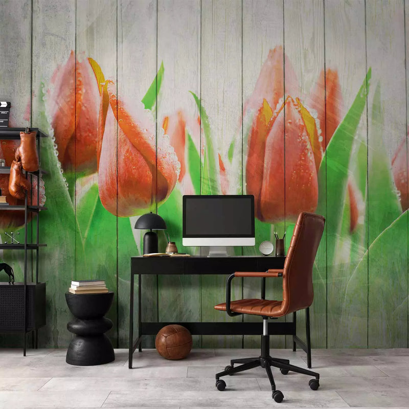 Wall Murals 60339 red tulips on wood