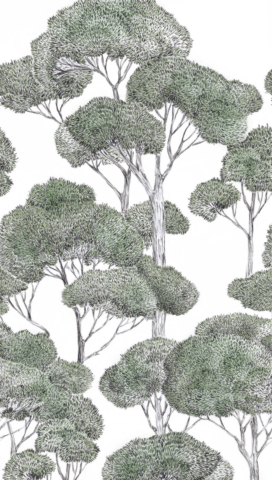 Tuvplāns: zaļi baltas dekoratīvās tapetes ar stilizētu koku faktūru. SKU: 3013146, AS Creation.