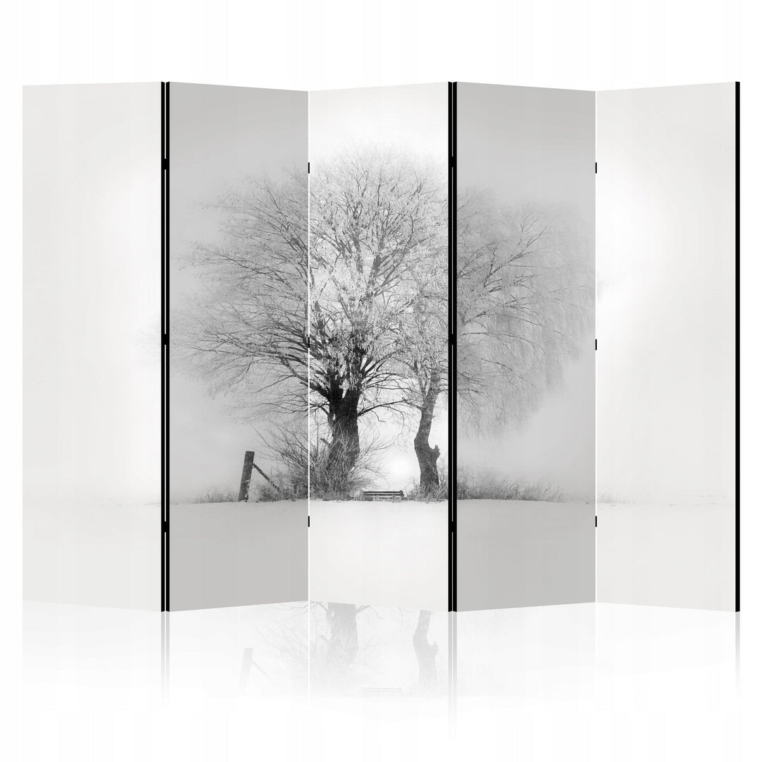 Dekoratīvs istabas aizslietnis, divpusējs, 225x172, Ziemas rīta gaisma L-ART