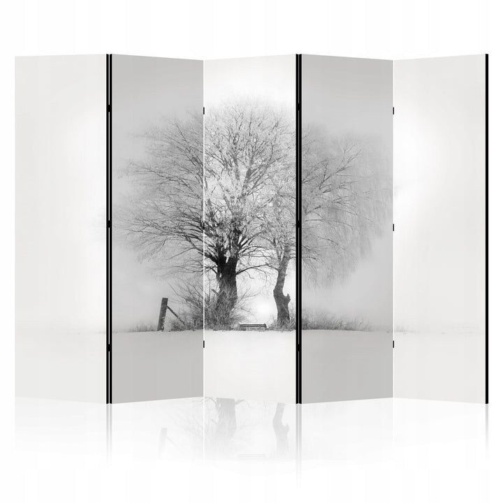 Dekoratīvs istabas aizslietnis, divpusējs, 225x172, Ziemas rīta gaisma L-ART