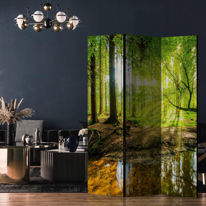 Divpusējs aizslietnis, 135x172, Saulainais rīts mežā, zaļā L-ART