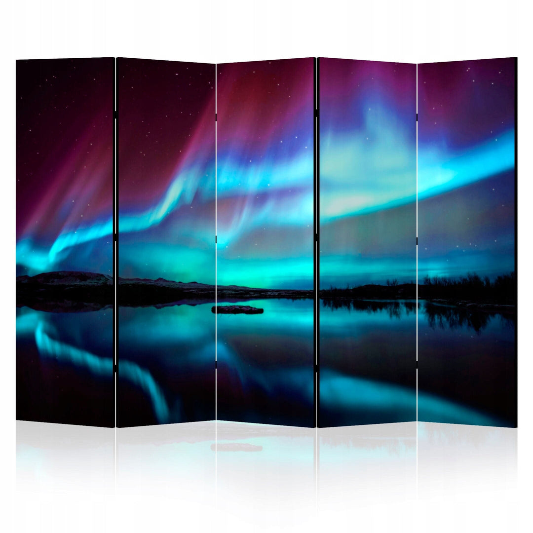 Divpusējs aizslietnis, 225x172, Arktiskā nakts L-ART