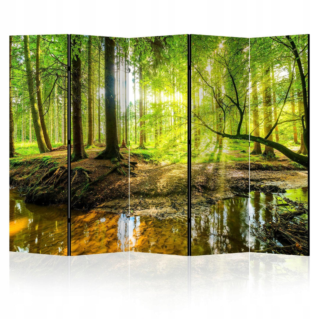 Divpusējs aizslietnis, 225x172, Rīts saulainā mežā L-ART