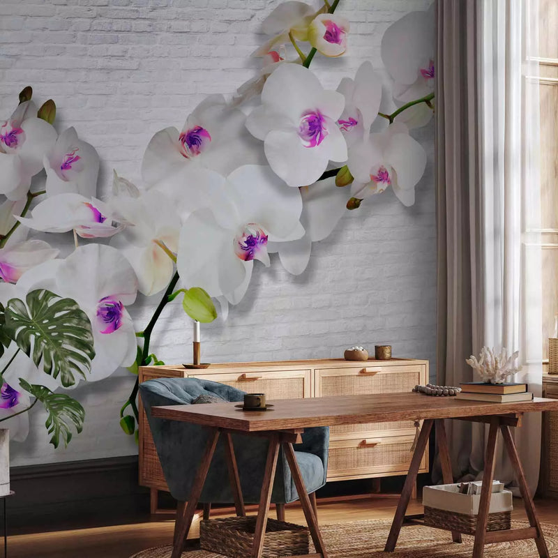 Wall Murals 61847 wall with orchids II