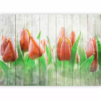 Wall Murals 60339 red tulips on wood