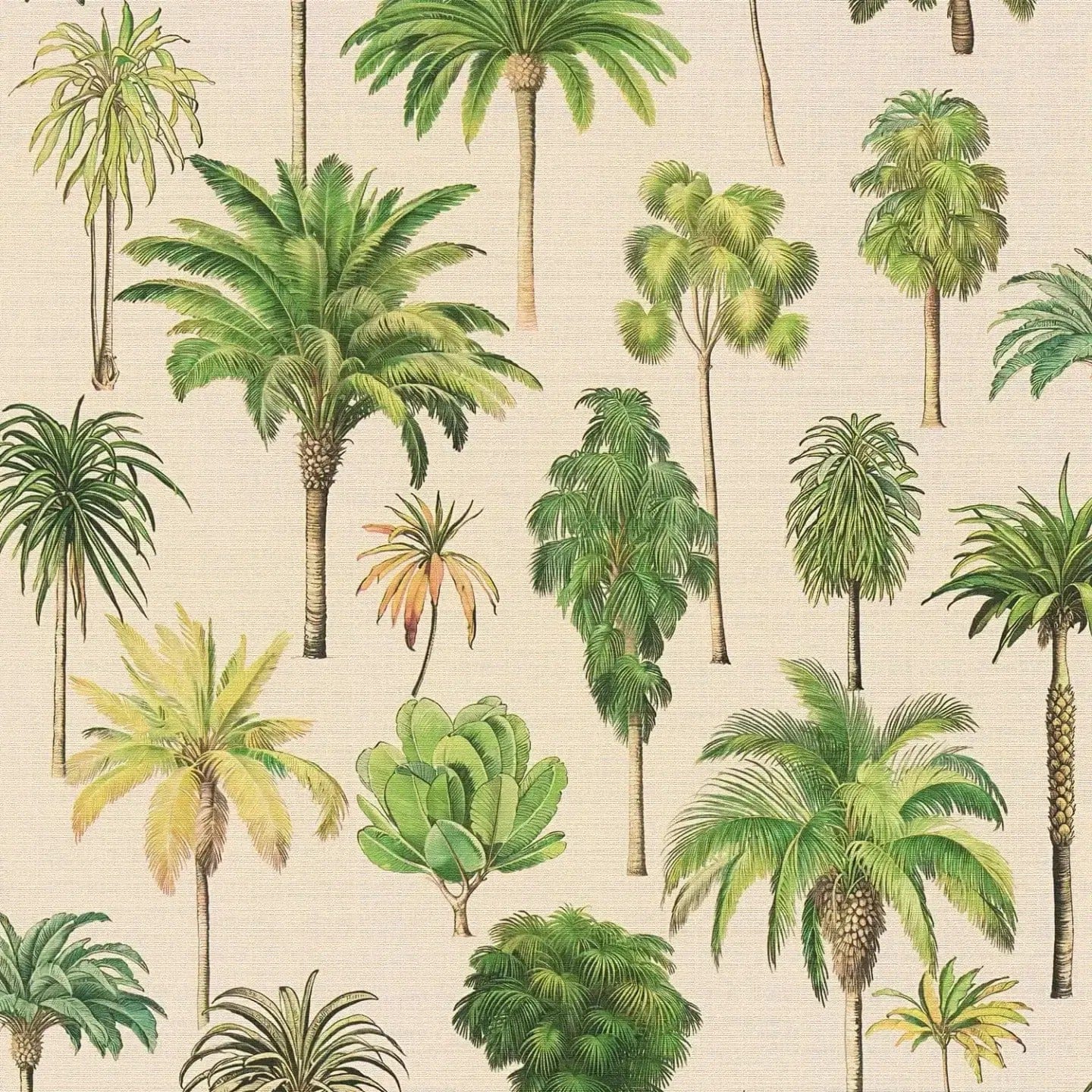 Tropu tapešu tuvplāns ar palmu kokiem, izceļot matēto apdari un reljefu. SKU: 3012237, AS Creation.
