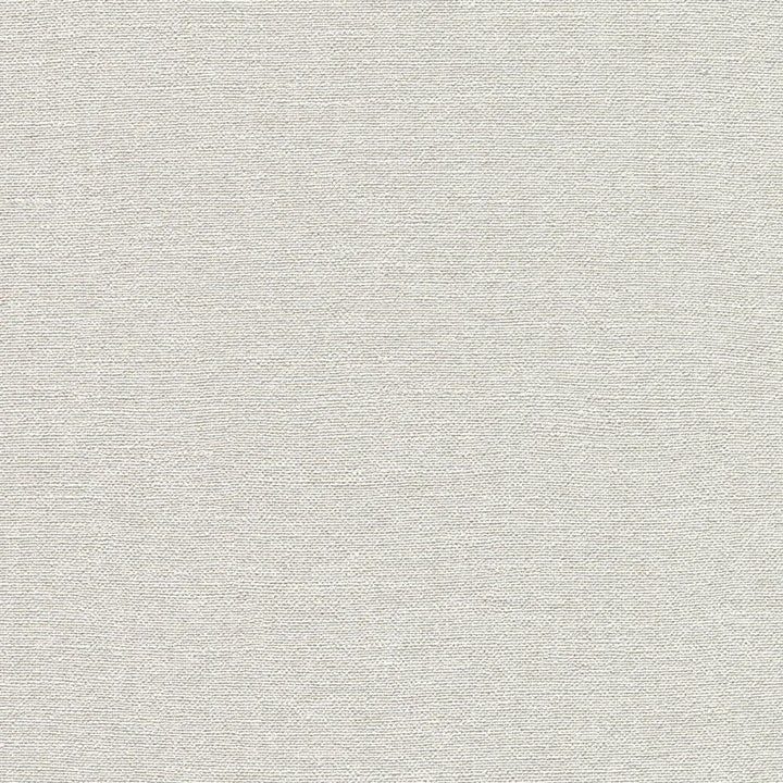 Tapeet RASCH 2576465 | Vasetoon õrna säraga