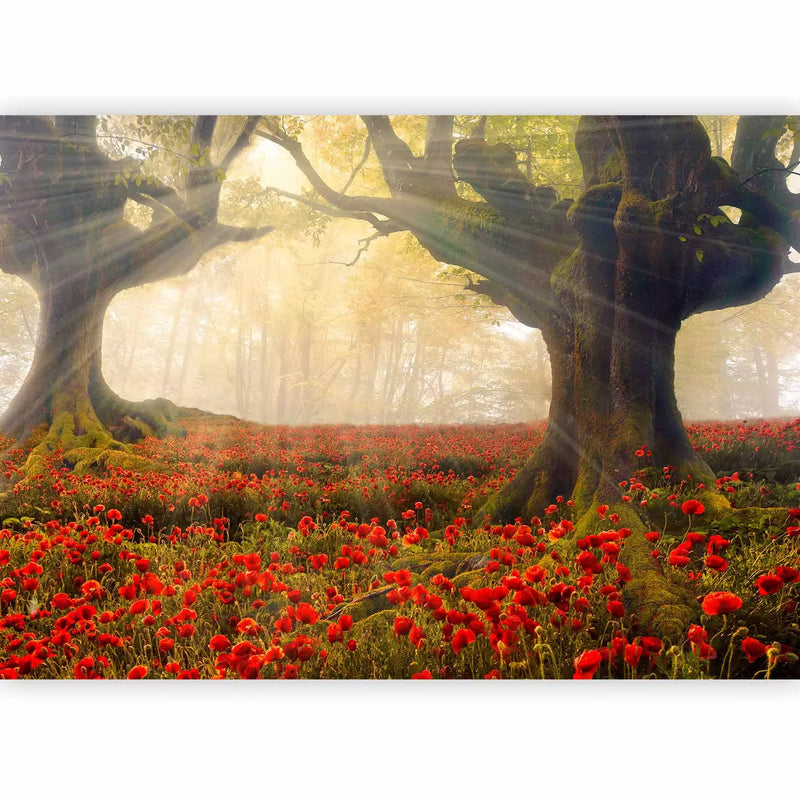 Wall Murals 60387 Morning among poppies