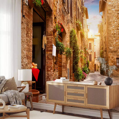 350x256 cm, Wall Murals - Colorful Street in Tuscany, 91975, (open package)