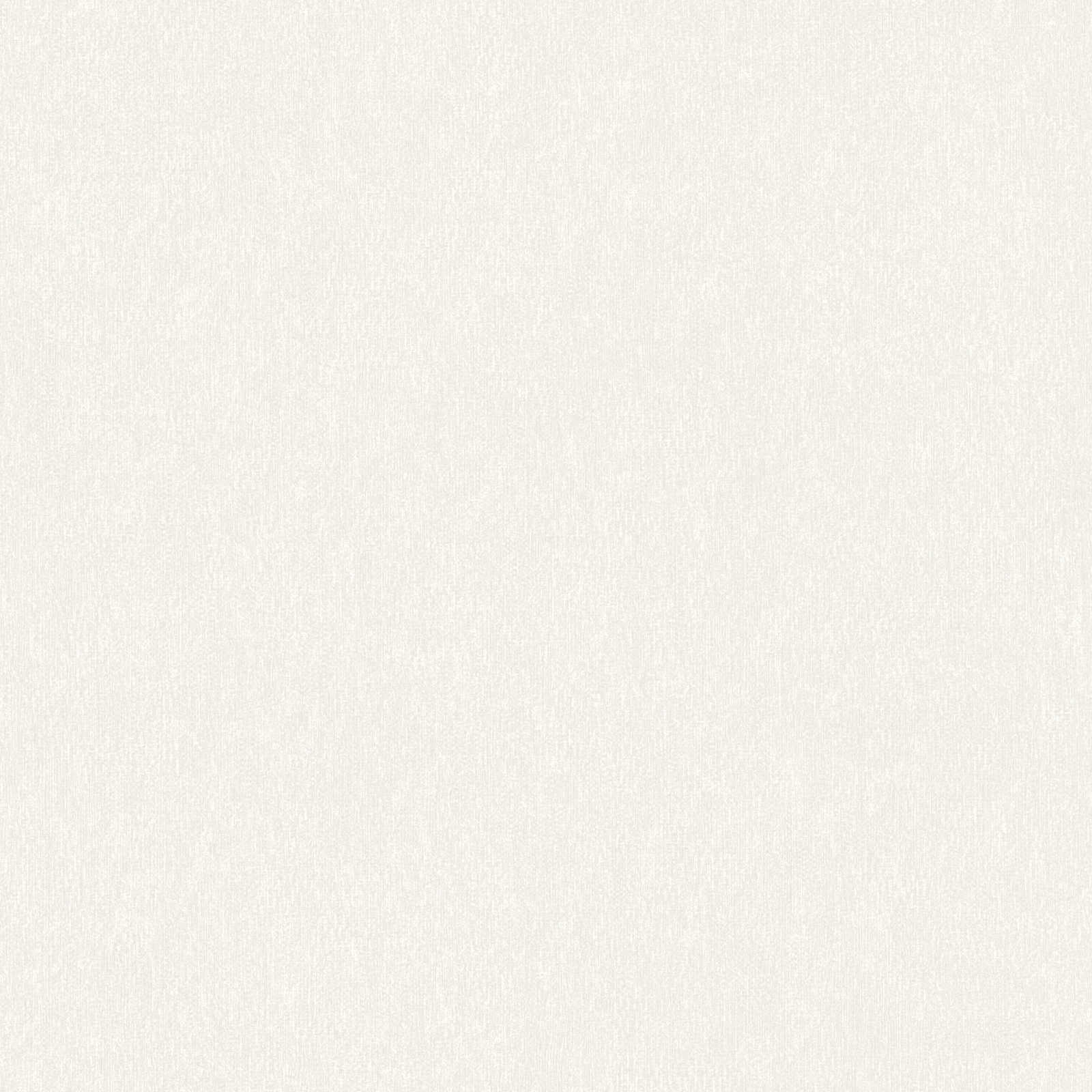 Flizelīna matētas tapetes ar teksturētu izskatu: baltā krāsā, 390302 AS Creation