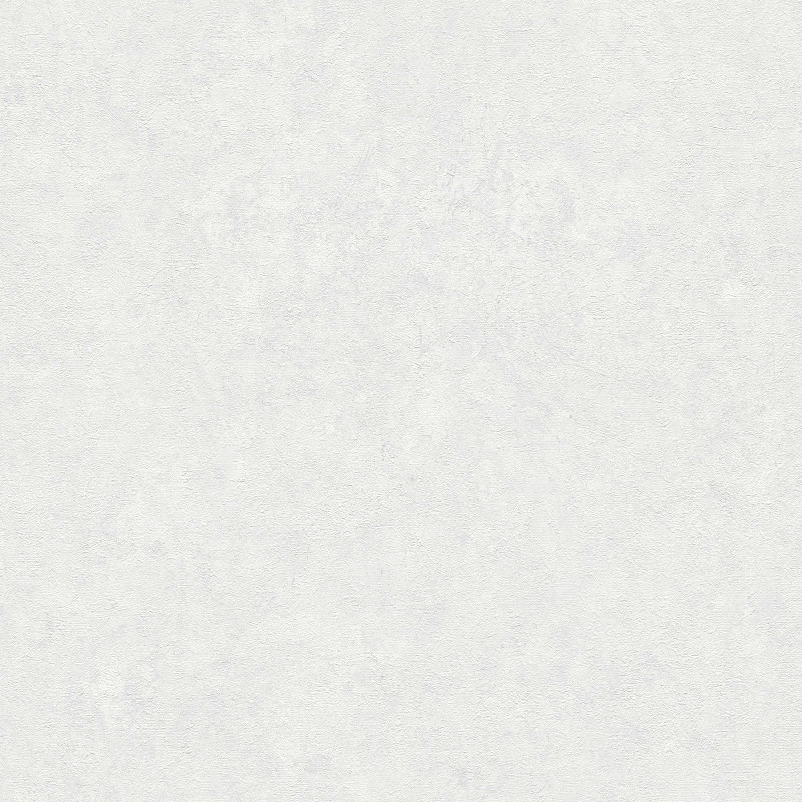 Flizelīna tapetes ar apmetuma izskatu gaiši pelēkā krāsā - 1376053 AS Creation