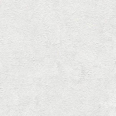 Flizelīna tapetes ar apmetuma izskatu gaiši pelēkā krāsā, 1376053 AS Creation