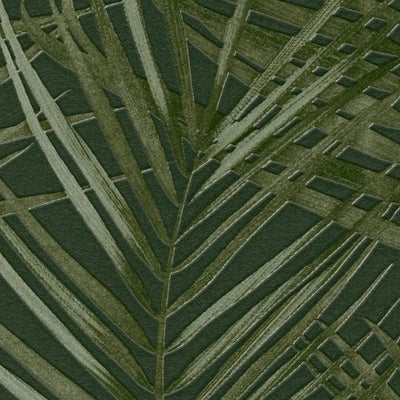 Flizelīna tapetes ar lielām palmu lapām: tumši zaļā krāsā, 1372361 AS Creation
