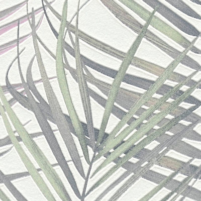 Flizelīna tapetes ar lielām palmu lapām: zaļā, pelēka, balta, 1372356 AS Creation