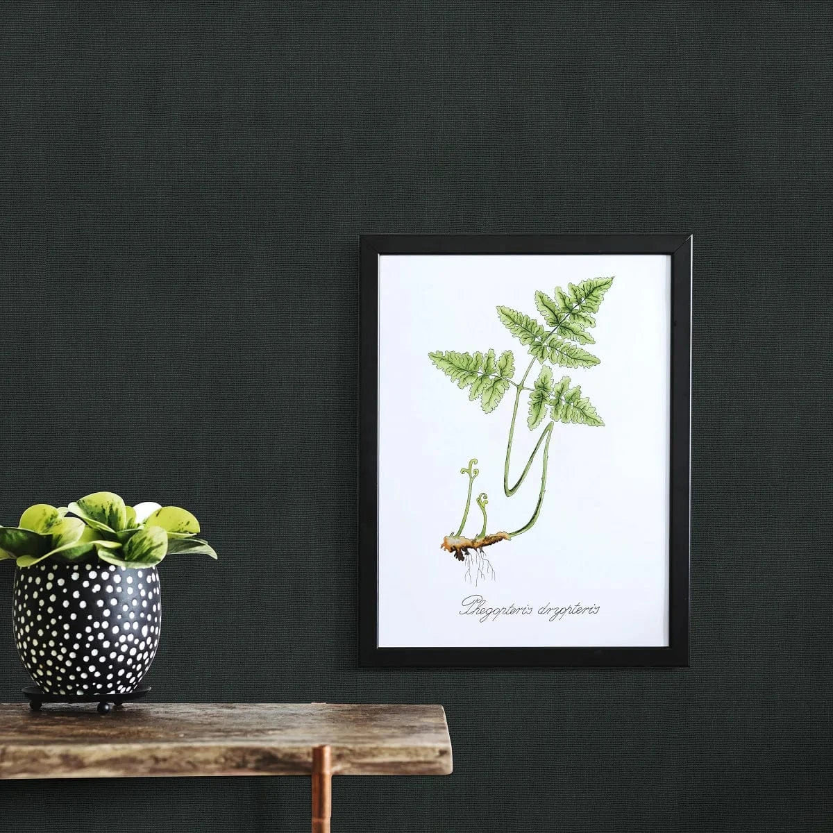 Flizelīna tapetes ar tekstila faktūru melnā matētā krāsā – izsmalcināts un mūsdienīgs interjers Erismann