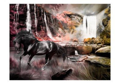 Fototapetes 59771 Melnais zirgs pie ūdenskrituma G-ART