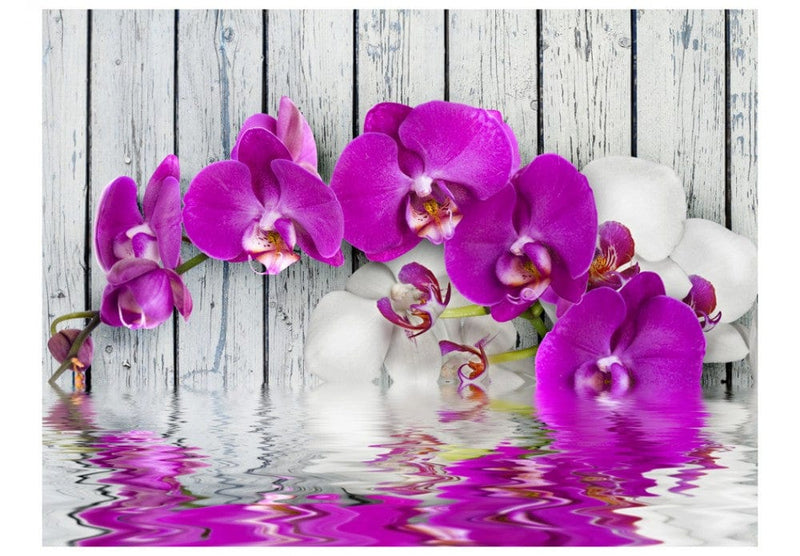 Fototapetes 60186 Violetas orhidejas G-ART