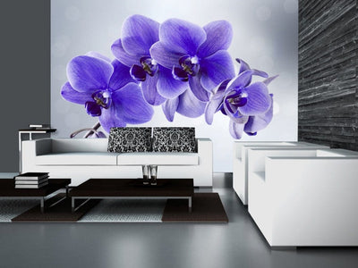Fototapetes 60321 Violetas orhidejas G-ART