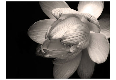 Fototapetes 60452 Lotosa zieds G-ART