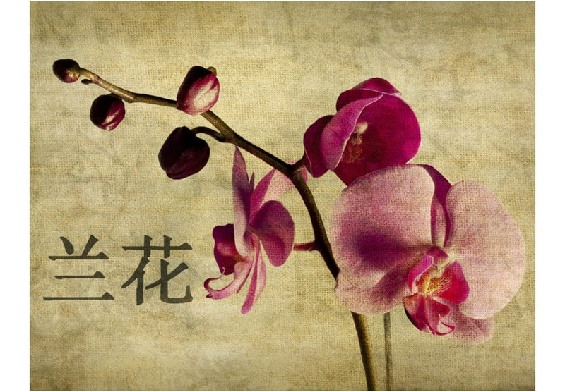 Fototapetes 60628 Japāņu orhideja G-ART