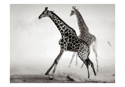 Fototapetes 61342 Žirafes G-ART