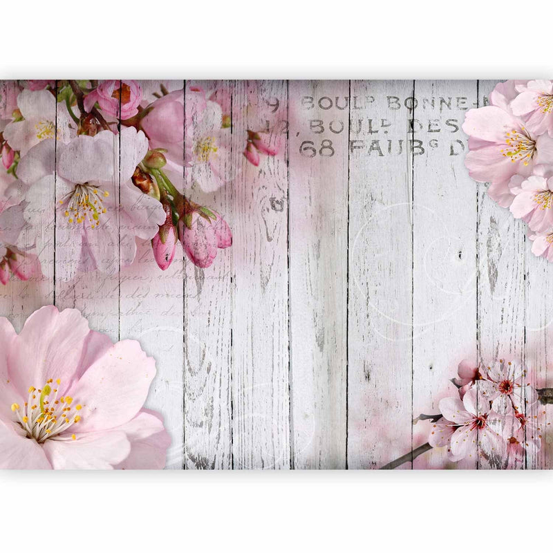 Wall Murals with apple flowers - apple -blossom magic, pink shades, 92990g -art