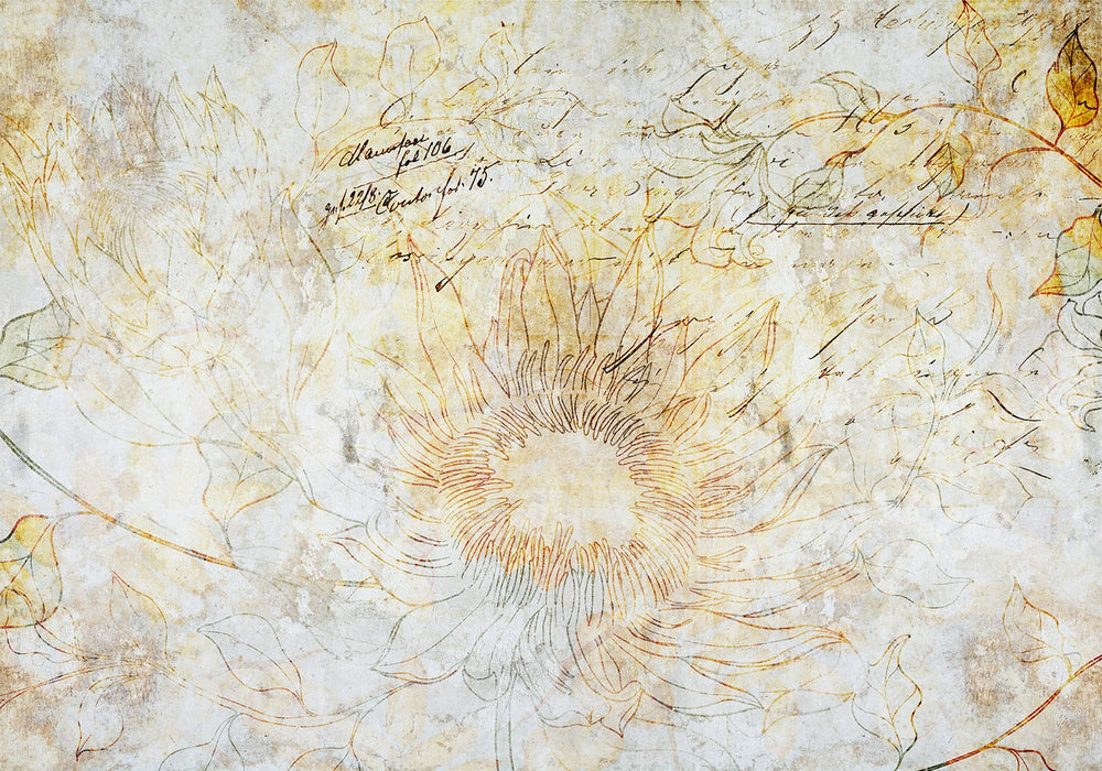 Vintage stila fototapete ar lielu saulespuķes ziedu | Tapetenshop.lv G-ART