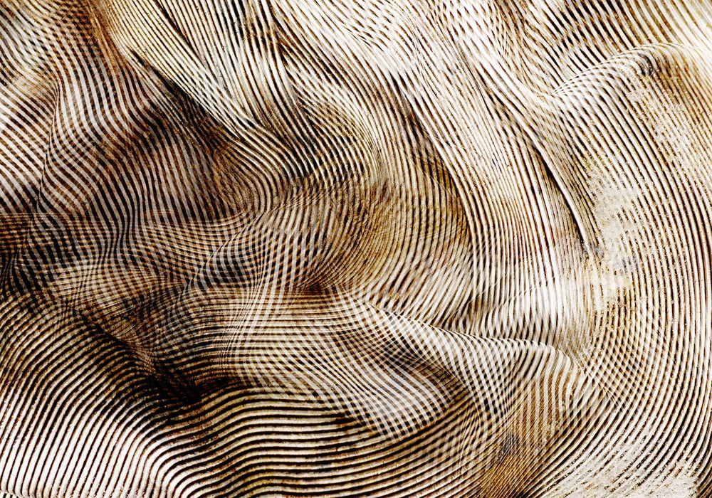 Abstract photo wallpaper with a hypnotic 3D effect, in gold and beige, Tapetenshop.lv