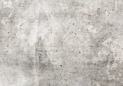 Fototapetes - abstrakcija pelēkos toņos ar betona faktūru, 143239 G-ART