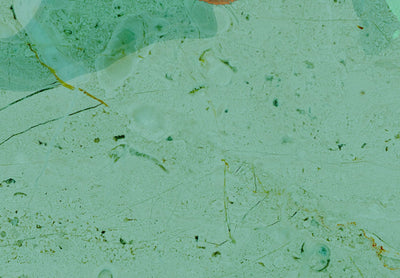 Fototapetes - Abstrakcija tumši zaļā un bronzas krāsā, 135489 G-ART