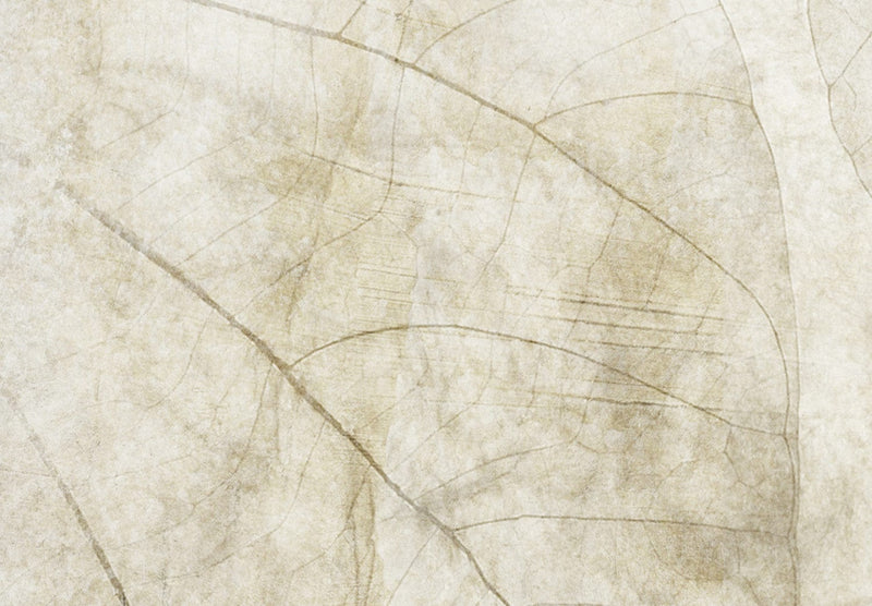 Fototapetes - Abstraktā motīvs, kas ieturēts smilškrāsas toņos, 138459 G-ART