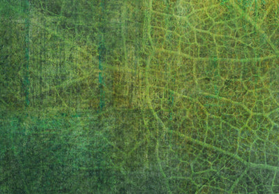 Fototapetes - Abstraktas zaļās lapas, 138474 G-ART