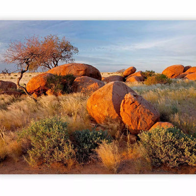 Fototapetes - Āfrikas ainava Namībijā - savannas daba ar akmeņiem G-ART