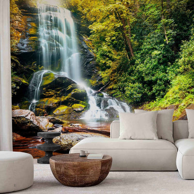 Wall Murals - Landscape with a waterfall flowing across the rocks in the middle of the forest, 60062 G-Art