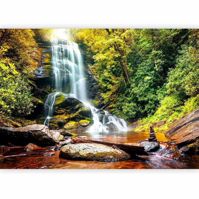 Fototapetes - Ainava ar ūdenskritumu, kas plūst pāri klintīm meža vidū, 60062 G-ART