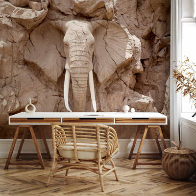 Fototapetes - Akmens zilonis (Dienvidāfrika), 64844 G-ART