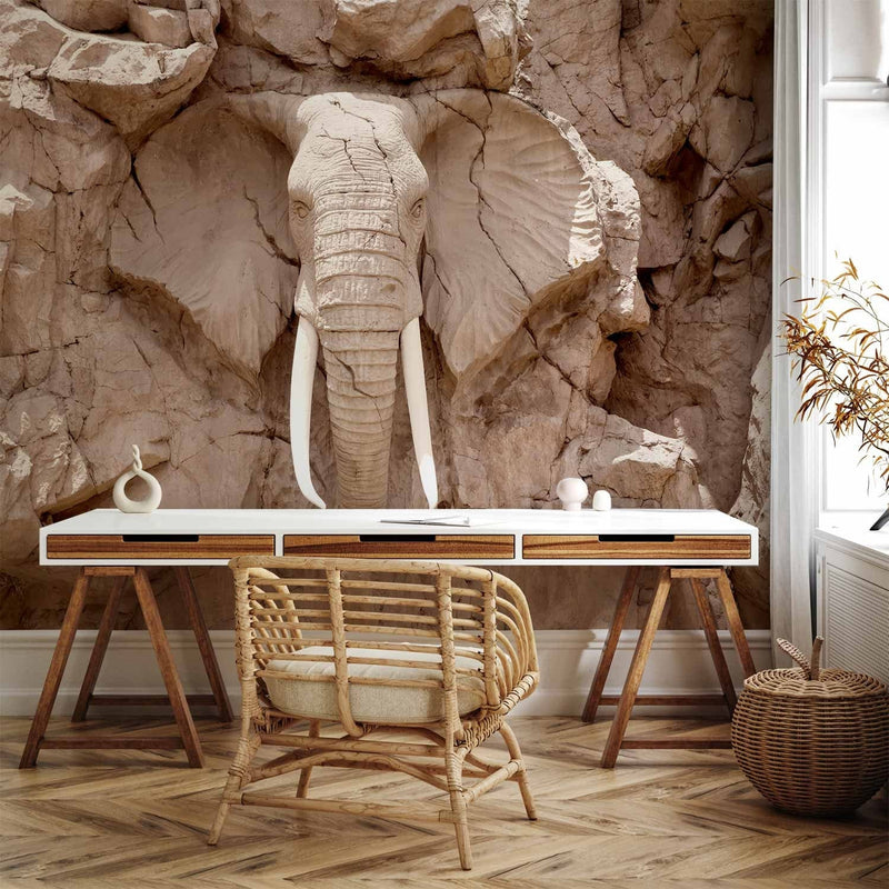 Fototapetes - Akmens zilonis (Dienvidāfrika), 64844 G-ART