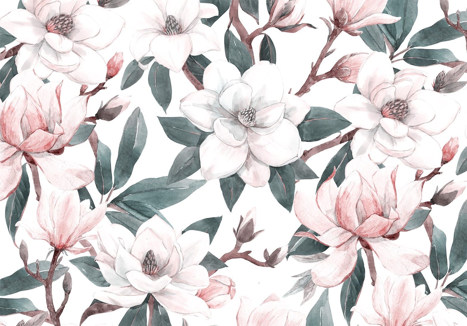 Fototapetes - Akvareļu magnolijas, 137262, 450x315 cm | Tapetenshop G-ART