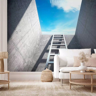 Wall Murals with 3D optical illusion - Escape to the sky -88828G-ART