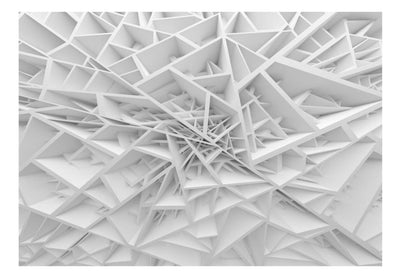Fototapetes ar 3D optisku ilūziju - Zirnekļa tīmeklis, 90597 G-ART