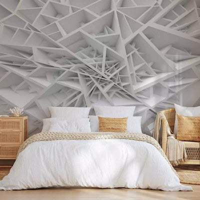 Wall Murals with 3D optical illusion - Spider's web - 90597 G-ART