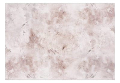Fototapetes ar abstrakta zīmējumu - Laika ekspresija rozā, 142697 G-ART