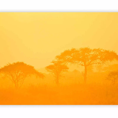 Fototapeet Aafrika savanniga oranžides toonides, 61399 - suurusevalik G-ART